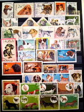 Lot de 40 Timbres Thématique "Chiens" (THE 763)