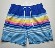 Chubbies Shorts Mens Size M Rainbow Stripe Swim Trunk 7” Inseam Lined