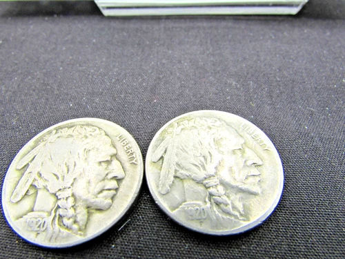 TWO  1920 BUFFALO NICKELS.