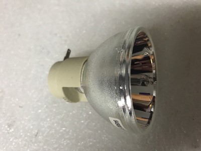 USRUTIUD Projektorlampe BL-FP285A 285W - Ersatzlampe Für OPTOMA Projektoren