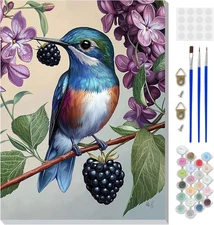 Framed Paint by Numbers Kit for Adults Beginners with Wooden Easel, DIY Hummingb