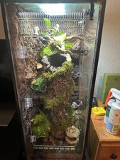 40 Gallon Bioactive Vivarium