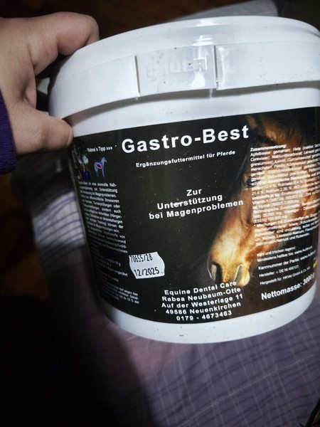 Pienso Dental Caballos