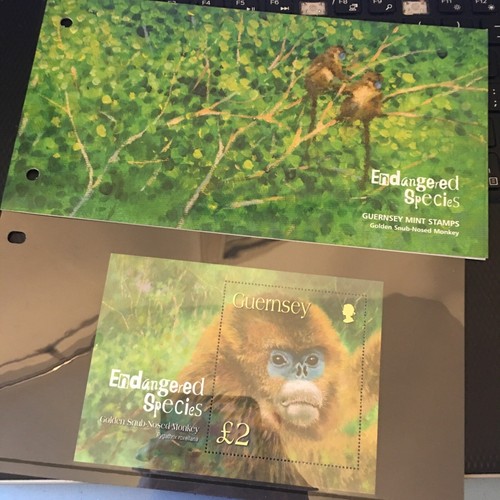 Guernsey Presentation Pack Mint 2004 ENDANGERED SPECIES SNUB NOSED MONKEY MNH