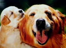 "Lucky Pup with POP!" Humorous Avanti FATHER's Day Greeting Card w Envelope