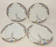 Vintage Set of 4 - Royal Bavarian Hutschenreuther Selb 9" Dinner Plate "Vernon"