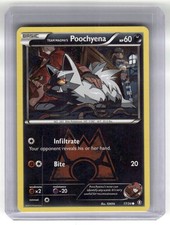Double Crisis #17/34 Team Magma's Poochyena Pokemon
