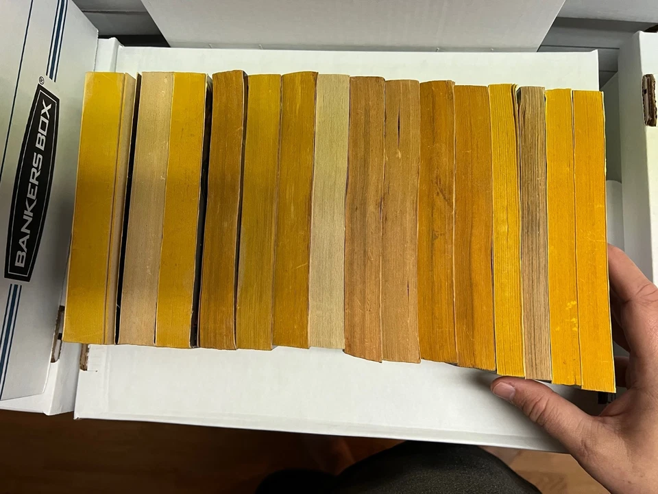 Lot of 15 Vintage Conan Paperbacks Roland Green Robert Jordan Poul Anderson+++ - Image 3 of 4