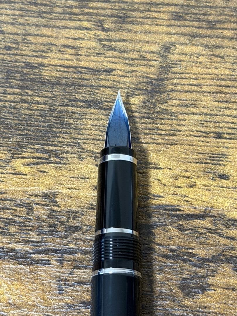 PILOT SE NIB Fountain Pen 14K Metal Grip Elabo Luxury Write Authentic Rare