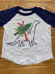 Gymboree Baby Boy Infant Clothes Multiple Sizes Gray Long Sleeve Tee T-Shirt