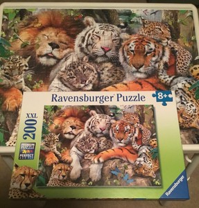 big cat puzzle