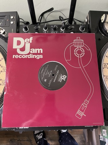Juelz Santana Diplomats Mic Check 12” Vinyl DJ Single BRAND NEW Dipset Def Jam - Picture 2 of 2