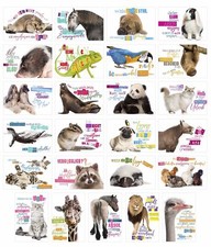 Edition Seidel Set 25 Postkarten lustige Tiere mit Spr&uuml;chen Karten mit Spruch Hu