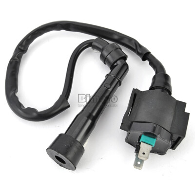 CDI BOX Igniter For SMC Barossa Quadzilla 250 STINGER / CAPTAIN