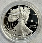 2020 W PROOF SILVER EAGLE WORLD WAR II V75 PRIVY IN OGP 75,000 MINTED