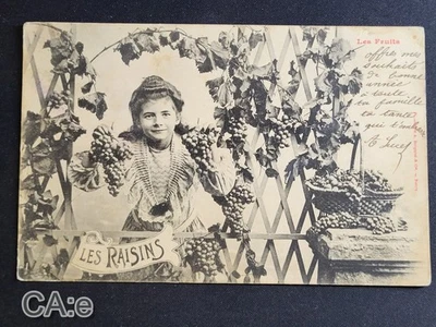 CPA: LES FRUITS — Les Raisins - Photo 1/2