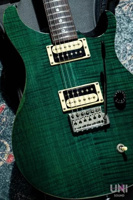 Paul Reed Smith(PRS) SE Custom / 2008 USED - image 1 of 4