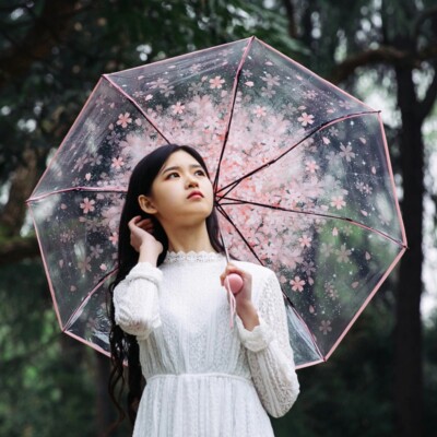 Japanese Pink Flower Long Umbrella Cherry Blossom Sakura