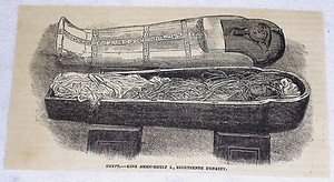 1882 magazine engraving ~ MUMMY OF KING AMEN-HOTEP I, Egypt