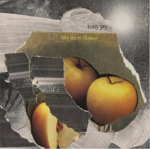 Tony Jay Hey There Flower (Vinyl LP) 12" Album