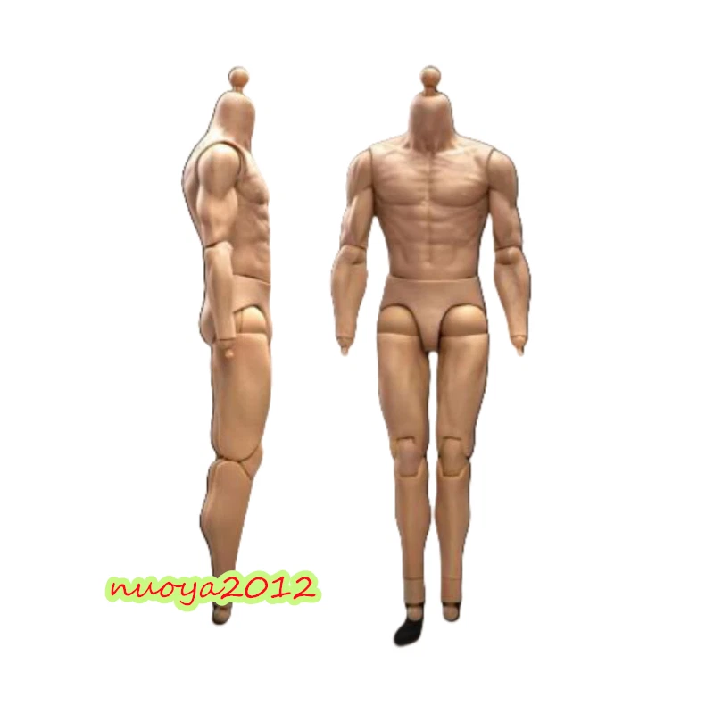 23TOYS BD001 1/6 Male Strong Muscular Body 23.5cm For 12'' Action Figure Model — 第 3/4 张图片