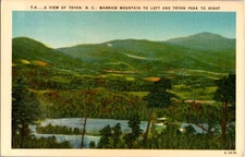 Tryon North Carolina NC : PANORAMIC SCENE d/24 BC6162
