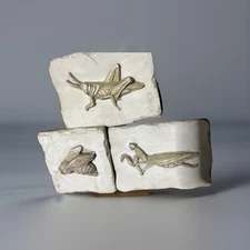 Garden Plaques Insect Theme  Outdoor Decoration