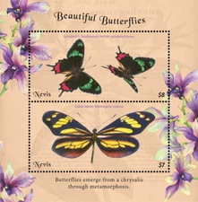 Nevis 2018 - Beautiful Butterflies - Souvenir Stamp Sheet - Scott #1978 - MNH