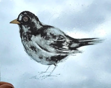 Stained Glass Blackbird nature kiln fired window art craft supplies wild birds