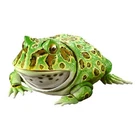 Bandai Gashapon Horned Frog Action Figure ADVANCE Argentine Horned Frog Green