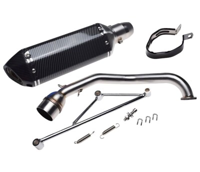 TUNING Carbon Auspuff Schalldämpfer für JONWAY ADVENTURE REX LONGJIA GY6 4T 125