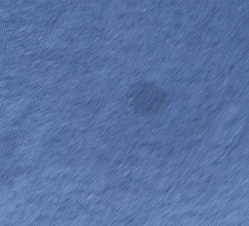 Picture 5 of 12