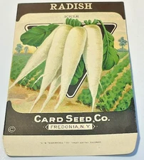 2627.14 ~ 1930’s Vintage Icicle Radish Seed ~ Card Seed Co - Fredonia N.Y. NOS!