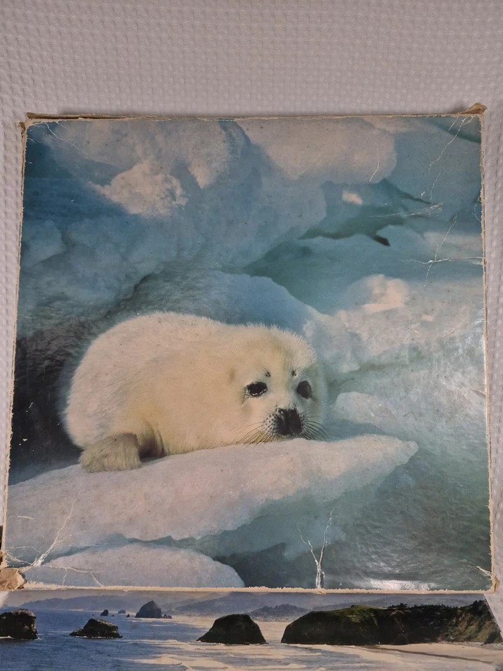 Lot Of 4 Springbok  Animal /Nature Puzzles  Incomplete - Image 3 of 4