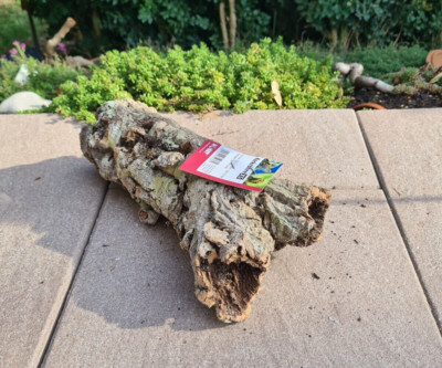 Kork-Terrarium Dekoration 4-tlg - Natürliche Korkrinde Für Reptilien