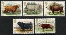 1984 Great Britain - Catle - MNH set of 5