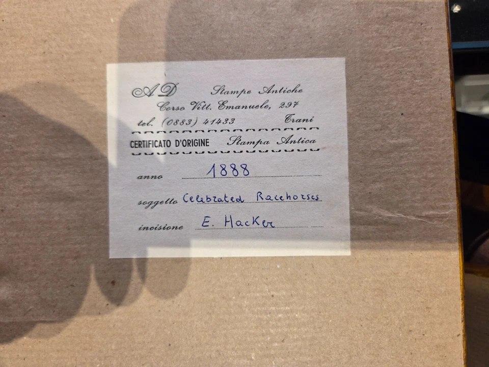 Tre stampe antiche cavalli inglesi 1888 - Immagine 4 di 4