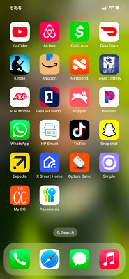 iPhone 11 with tik tok.  Perfect phone great camera black phone.  