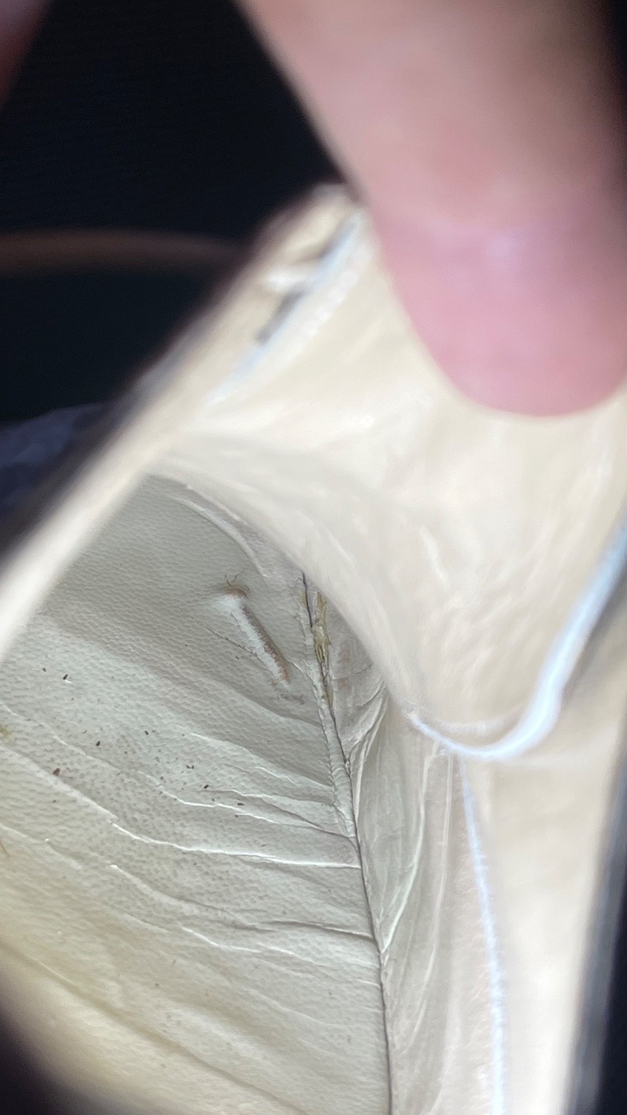 Azzella Firenze Genuine Python Leather Oxfords EU… - image 10