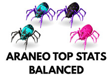 Araneo TOP STATS Clone Ark Survival Ascese Ufficiale PVE