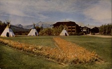 Glacier National Park Montana Hotel Indian tepees 1950s unused vintage postcard