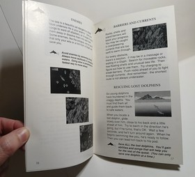 Ecco the Dolphin Sega CD Complete CIB Manual w/ Reg Card & Foam Block