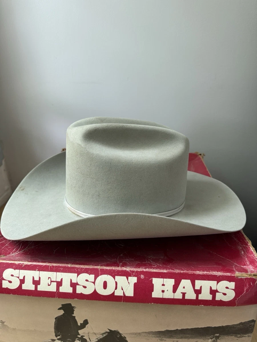 Stetson Beaver Hats for Men for sale | eBay