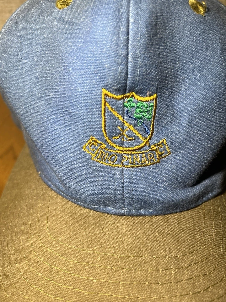 Gorra de Colección Rio Pinar Cobra Azul Claro y Marrón Claro Correa Ajustable Foto 3 de 4