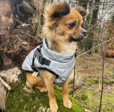 reflektierender Hundemantel mit Geschirr (NEU)