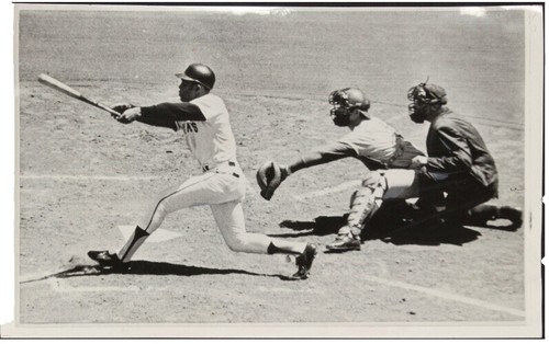 1984 SAN FRANCISCO GIANTS 8X10 TEAM PHOTO | eBay