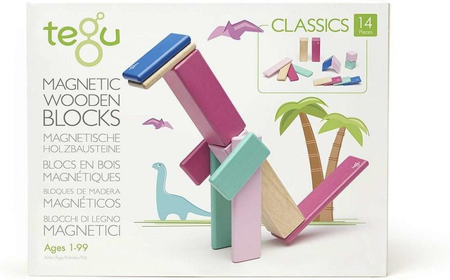 tegu magnetic blocks 24 piece