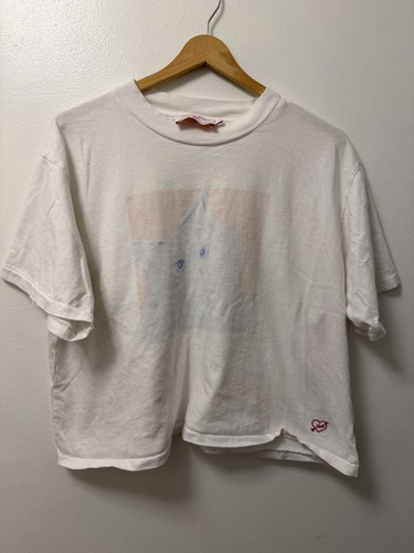 Arden Rose x Lisa Says Gah Cat Art Cropped White T Shirt Adult Large Boxy Fit