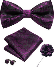 Paisley Pre-tied Bow Tie and Pocket Square Cufflinks Lapel Pin Sets for Men 4PCS