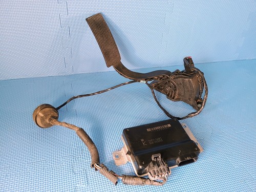 THROTTLE PEDAL TAC MODULE - '06-'07 Chevy GMC 4.8L 5.3L 6.0L Chevy - USED